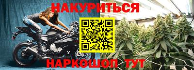PSILOCYBIN Бугуруслан