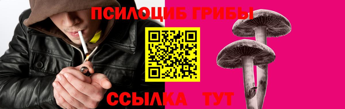 Озёры  Псилоцибиновые грибы прущие грибы  Вход с VPN  Галлюциногенные грибы Psilocybe 